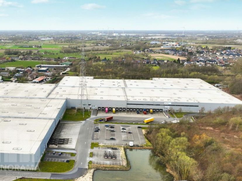 Entrepôt logistique spacieux et moderne à Willebroek, idéalement situé le long du canal maritime Bruxelles-Willebroek, à proximité immédiate de l’A12