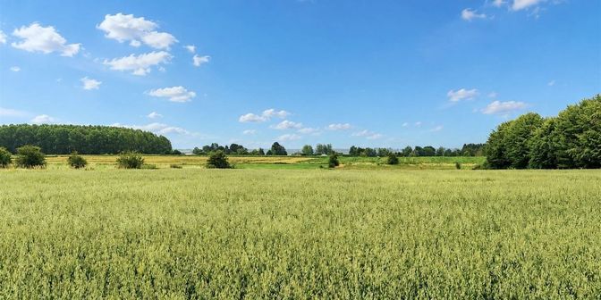 Terrain à vendre à Voie des Gérons, 5351 Haillot