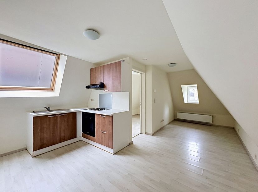 Séjour lumineux de 18 m² avec salon et coin repas, cuisine semi-équipée ouverte sur le séjour avec four, taque électrique, hotte et rangements,Salle d