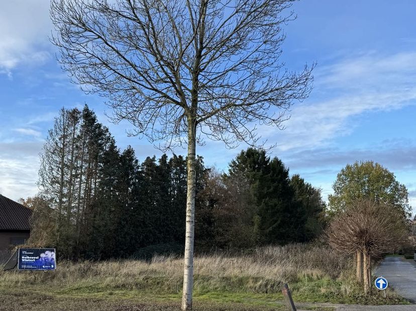 Bent u op zoek naar een ruim perceel bouwgrond op een uitstekende locatie? <br />
Ontdek dit prachtig gelegen perceel van ca. 1.555 m² in het hart van