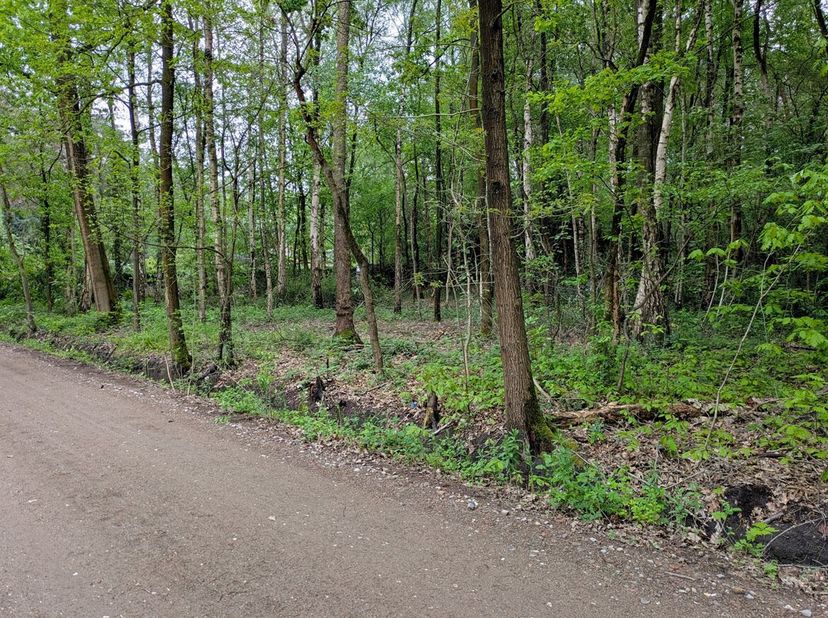 Rustig en groen gelegen perceel grond van 1.604m² in het woonbos te Essen<br />
Perceelbreedte: ca. 20m<br />
Perceeldiepte: ca. 80m<br />
Gelegen in