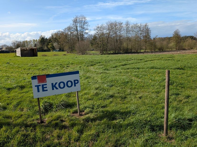 Landbouwgrond van 35a38ca.<br />
<br />
Landbouwgrond op gunstige locatie omgeving Liebroek in Tessenderlo-Ham.<br />
<br />
De grond is gelegen in He