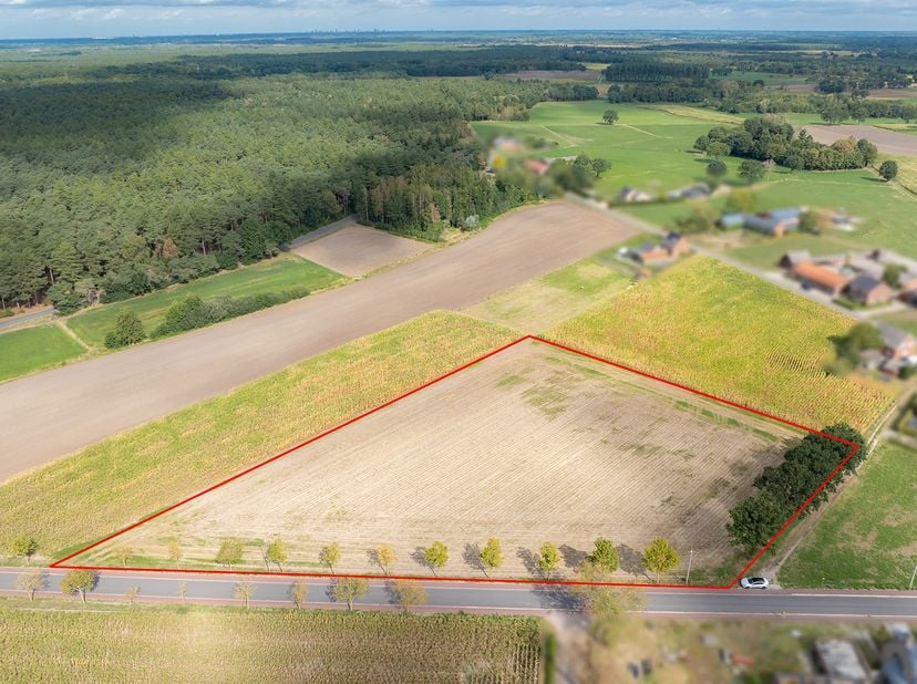 Grond te koop in Dijk z.n.,
                    3930 Hamont