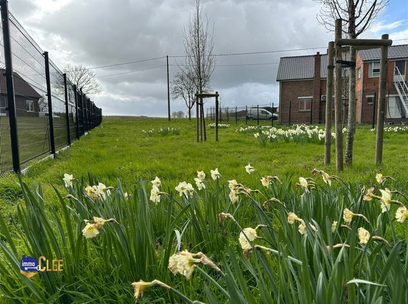 Bouwgrond voor open bebouwing te koop – 6a 59ca – Mielen‑Boven‑Aalst<br />
<br />
Op een landelijke ligging in Mielen‑Boven‑Aalst vindt u deze mooie