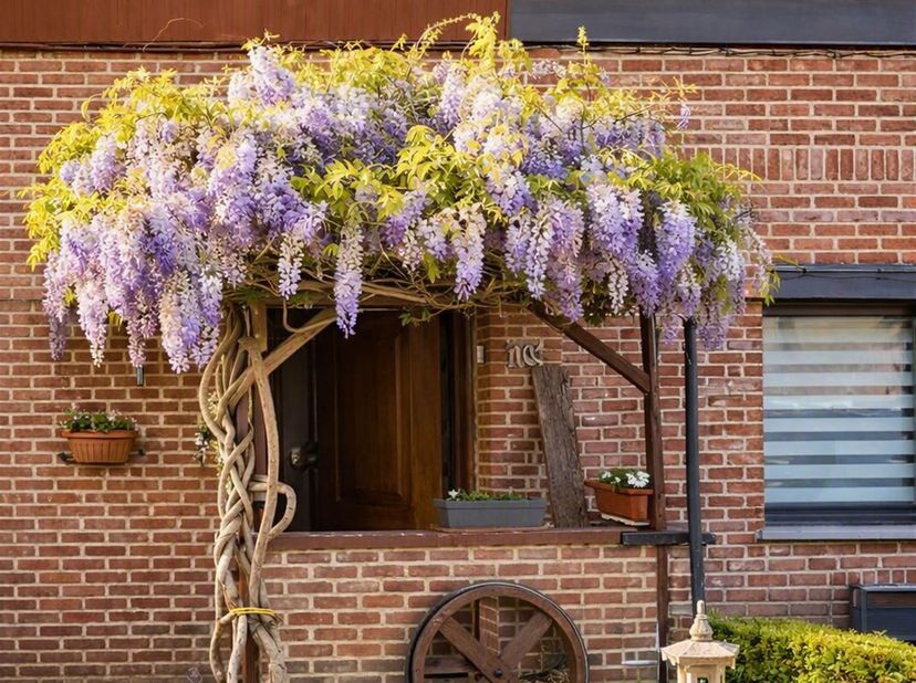 Maison à vendre à ,
                    7712 Herseaux
