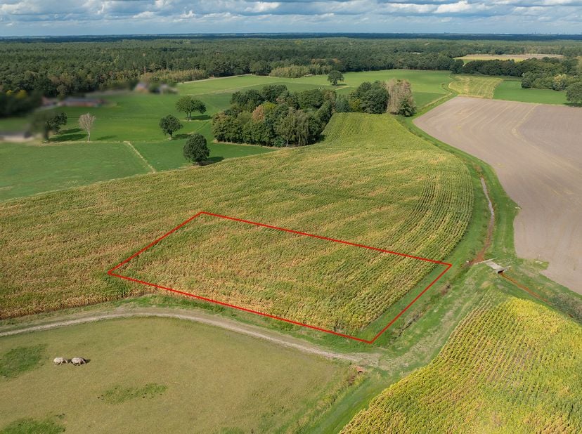 Grond te koop in Op de Riet /,
                    3930 Hamont
