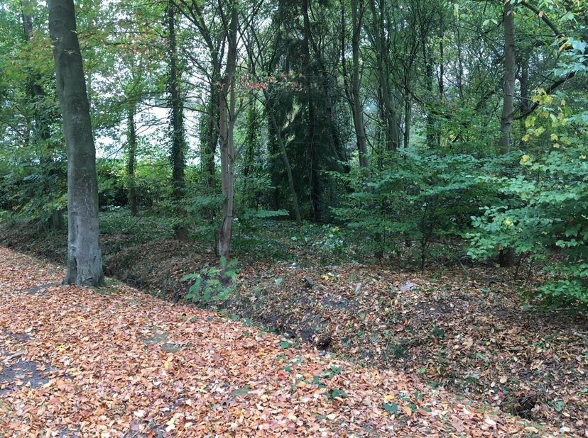 Terrain à bâtir Catharinadreef 7, 2970 Schilde, Division 1 - Section A - N° 208C Superficie : 2023 m² Largeur : 33 m Surface construite maximale : 10
