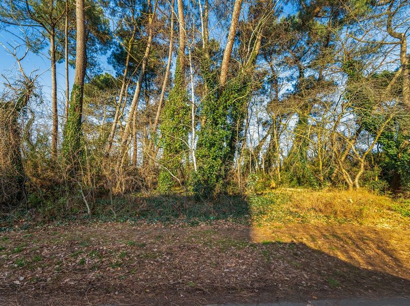 Terrain à vendre
                    à 2560 Nijlen