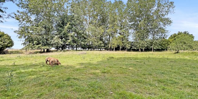 Terrain à vendre à 1325 Corroy-le-Grand