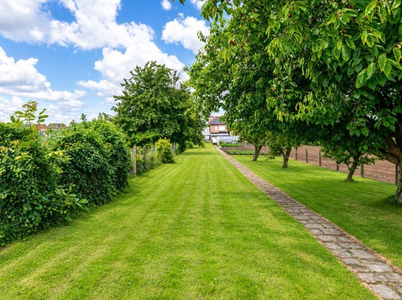 Grond te koop in Oorbeeksesteenweg rv 192,
                    3300 Tienen
