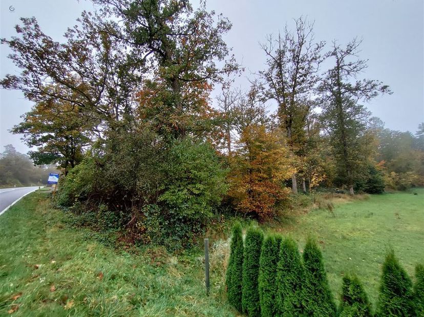 TE KOOP: Grond in recreatiegebied 6997 Biron, rue Terre-Telle<br />
Prijs : € 120.000<br />
Ontdek dit unieke perceel van ± 2500 m², zone de loisirs .
