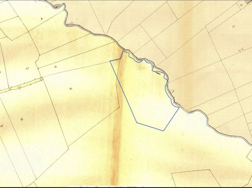 Terrain à vendre
                    à 3850 Binderveld