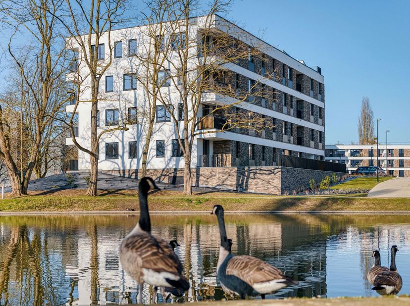 JAMBES – Dans un écrin de verdure, bel appartement contemporain (2CH/1SDB) de 94,50 m² situé au rez-de-chaussée de la résidence « ARTEMIS ». Il se com