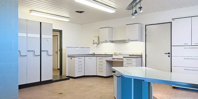 Bedrijfsvastgoed te huur in Beverlosesteenweg 322, 3583 Paal