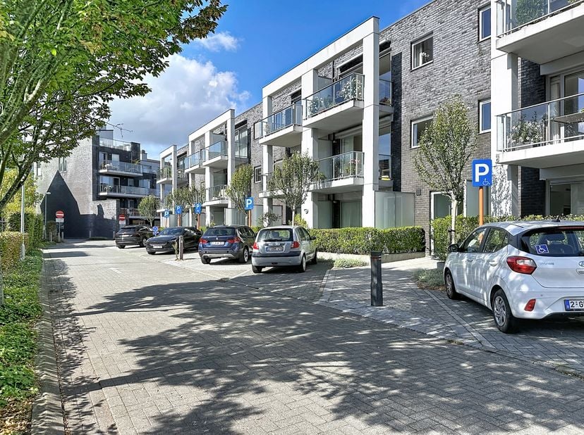 Appartement à louer à Karel van de Woestijnelaan 52,
                    2630 Aartselaar