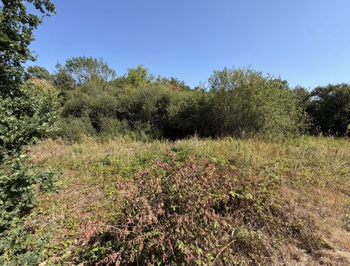                                         Bouwgrond te koop in Rillaar, € 179.000
