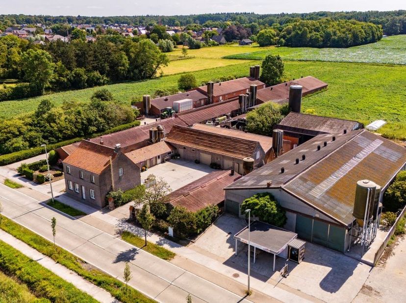 Hoeve te koop te Maria-Aalter met vergunning voor 580 zeugen, 2 beren, 389 andere varkens<br />
De milieuvergunning is nog geldig tot 25-10-2029 met m
