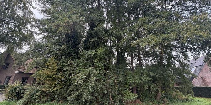 Terrain à vendre à Schansbroekstraat 5, 3600 Genk
