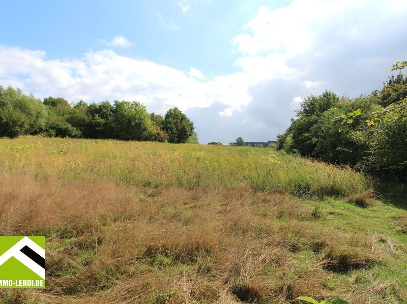 Grond te koop in Ijzerbron 17,
                    3700 Tongeren