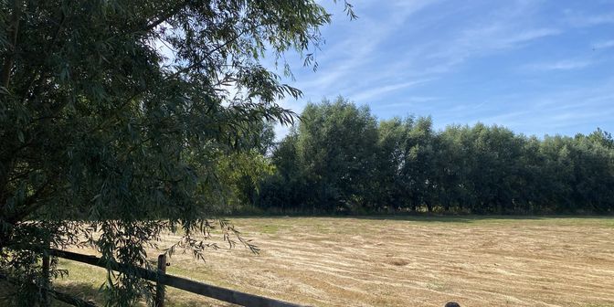 Grond te koop in Beatestraat, 9250 Waasmunster