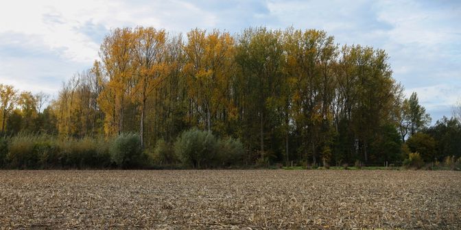 Terrain à vendre à 9860 Oosterzele