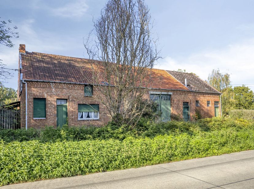 Huis te koop in Testeltsesteenweg 270,
                    3201 Langdorp