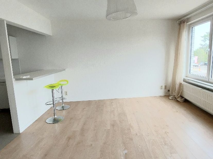 DIEPENBEEK centrum: lichtrijk 1slpkamerappartement( in kleine rustige residentie) met terrasje; ingebouwde kkn, badk met ligbad, 1 ruime slp met terra