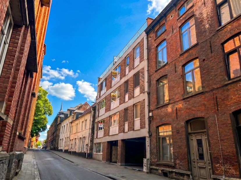 Deze gezellige en instapklare flat is uitstekend gelegen in de Schapenstraat, een rustige maar centrale ligging binnen de ring van Leuven, op wandelaf