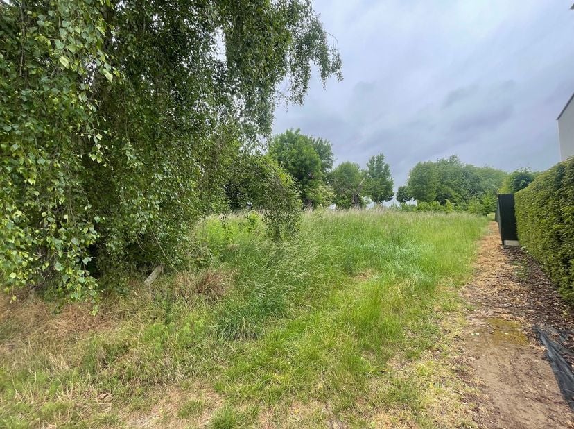 Bent u op zoek naar een zeer brede bouwgrond van bijna 27 meter breed op de bouwlijn en een mogelijke bouwbreedte van bijna 16 meter? Dan is dit een u