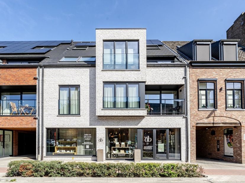 Bien professionnel à vendre à Lostraat 33 boîte 0A,
                    9880 Aalter