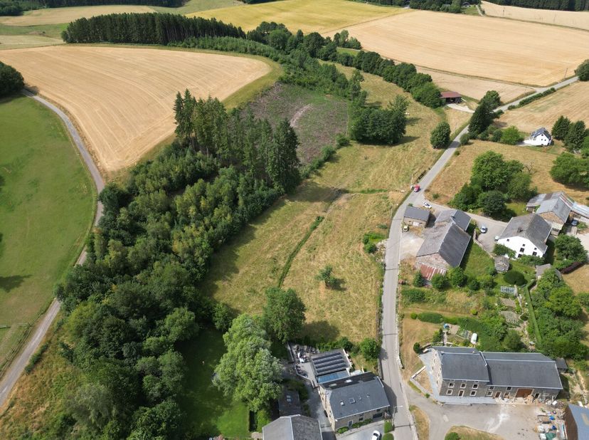 Het agentschap ERA B-Lux stelt u met plezier dit prachtige perceel voor, gelegen in de gemeente La Roche-en-Ardenne.Met een oppervlakte van 20 are gen