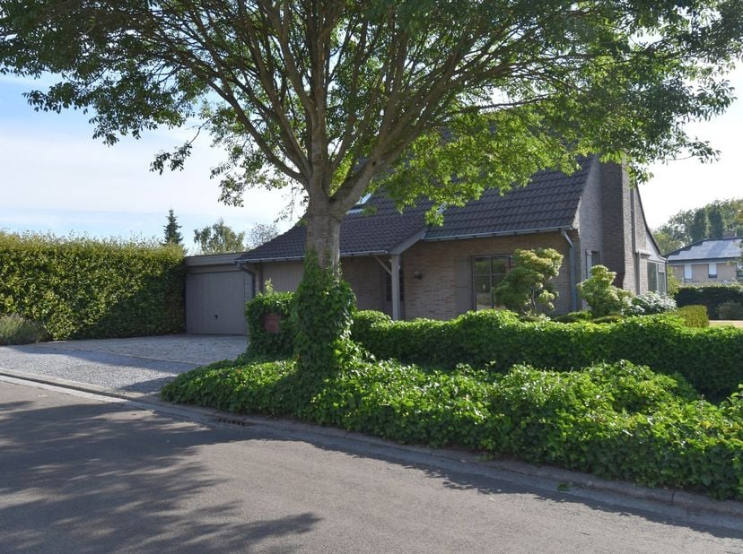 Maison à louer
                    à 8511 Aalbeke