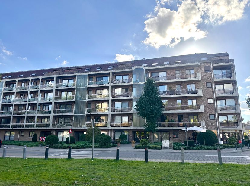 Appartement te huur in Hazelarenlaan 64 bus 6,
                    3500 Hasselt
