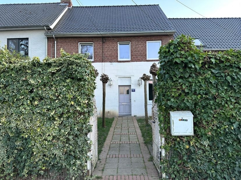 Maison à louer
                    à 3650 Dilsen-Stokkem