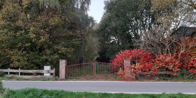 Terrain à vendre à Rue du Long-Bâti 46, 5377 Somme-Leuze