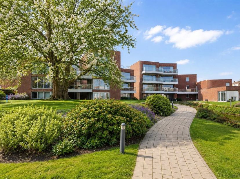 Appartement à vendre
                    à 9600 Renaix