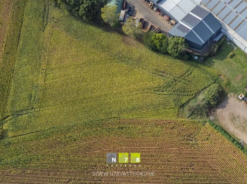 LANDBOUWGROND OP EEN PERCEEL VAN 22A80CA TE DILSEN-STOKKEM (LANKLAAR) <br />
INFO BESTEMMINGEN GEWESTPLAN<br />
- Agrarisch gebied.<br />
- Waterwinni