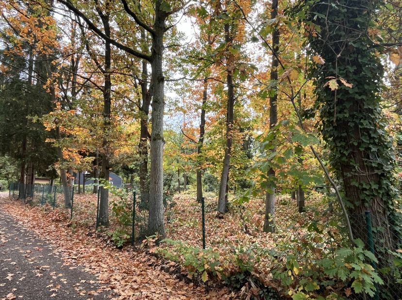 Droom je van een eigen plek midden in het groen, waar je volop kunt genieten van rust, natuur en privacy? Deze volledig omheinde recreatiegrond van 1.