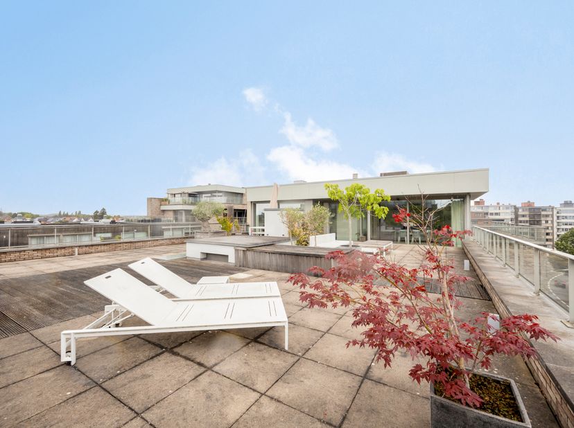 Appartement te koop in Aniciuspark 13,
                    3700 Tongeren
