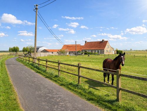                                        Ferme à vendre à Ramskapelle, € 1.995.000
