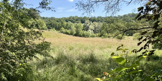 Grond te koop in 4852 Hombourg