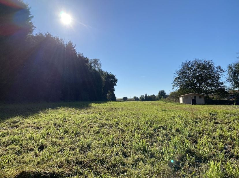 Fantastische zuid-gerichte bouwgrond op een stuk van 40 are, rustig gelegen in een gehucht van Geldenaken (Saint Jean Geest) op enkele km van de taalg