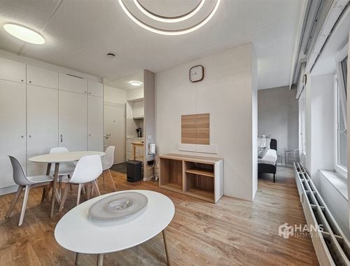                                         Studio met slaaphoek te huur in Antwerpen, € 990
