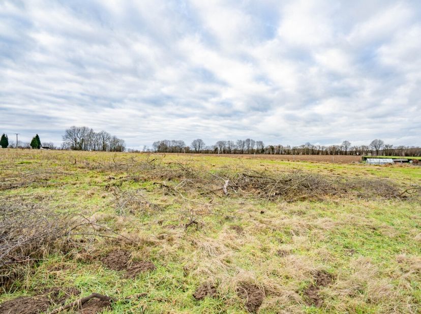 Lagence ERA B-LUX vous présente ce terrain à bâtir de 10 ares 66, situé dans le charmant village de Beauwelz, sur la commune de Momignies. Faisant par