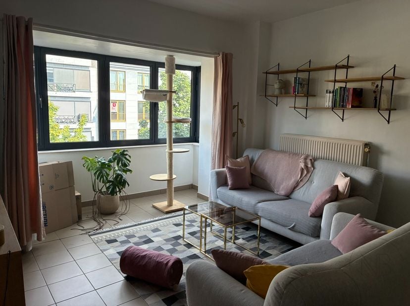 Appartement à louer
                    à 3500 Hasselt