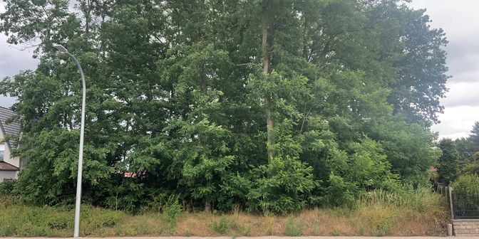 Grond te koop in De Beukelaer-Pareinlaan 4 bus B, 2200 Herentals