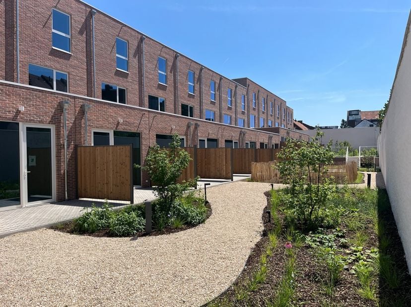 Project te koop in Eendrachtstraat 29,
                    2000 Antwerpen