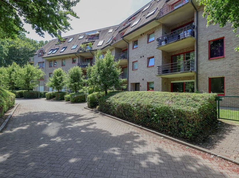 Découvrez ce magnifique appartement offrant une superficie habitable de 210 m², idéalement situé dans une rue à sens unique particulièrement calme, en