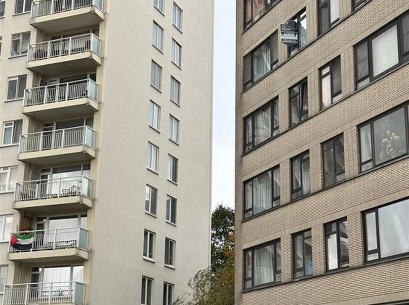 Vous êtes à la recherche d'un appartement de 3 chambres à coucher avec terrasse à Borgerhout ? Alors ce spacieux appartement à vendre à Bleekhofstraat