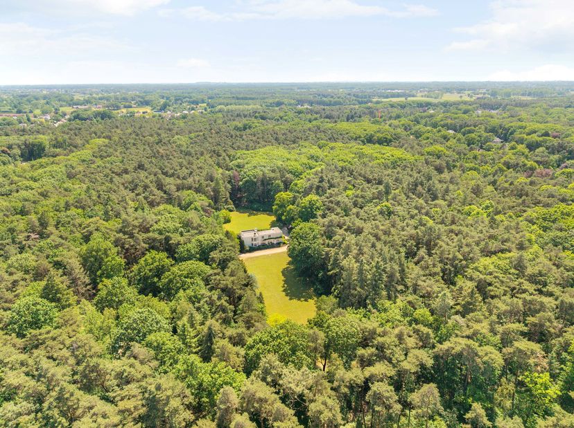 Langs een statige oprijlaan, volledig omgeven door groen, bereiken we deze uitzonderlijke eigendom die zich ontvouwt als een ware oase van rust. Op ee